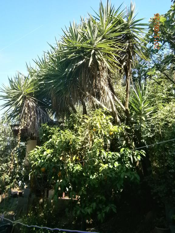 Albergo Il Cantuccio Bolano Εξωτερικό φωτογραφία