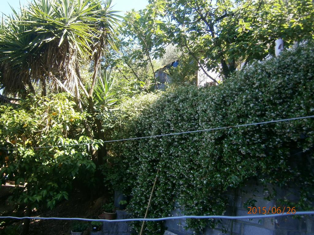 Albergo Il Cantuccio Bolano Εξωτερικό φωτογραφία